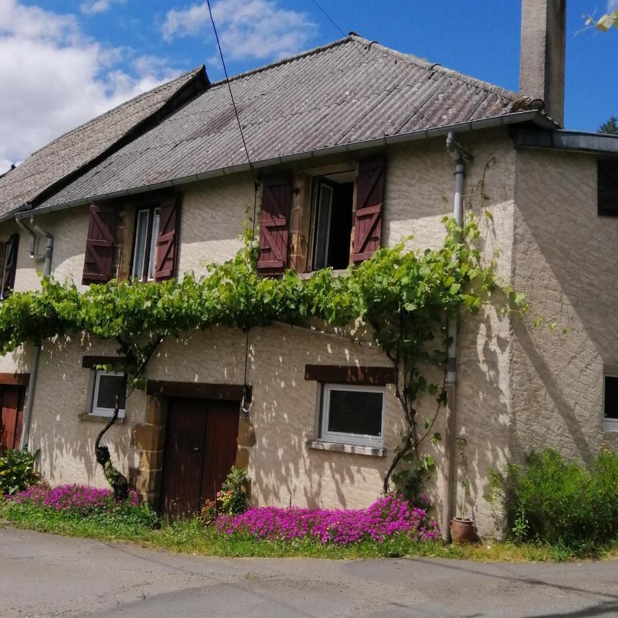 Maison Familiale Coteaux De La Vezere Voutezac 外观 照片