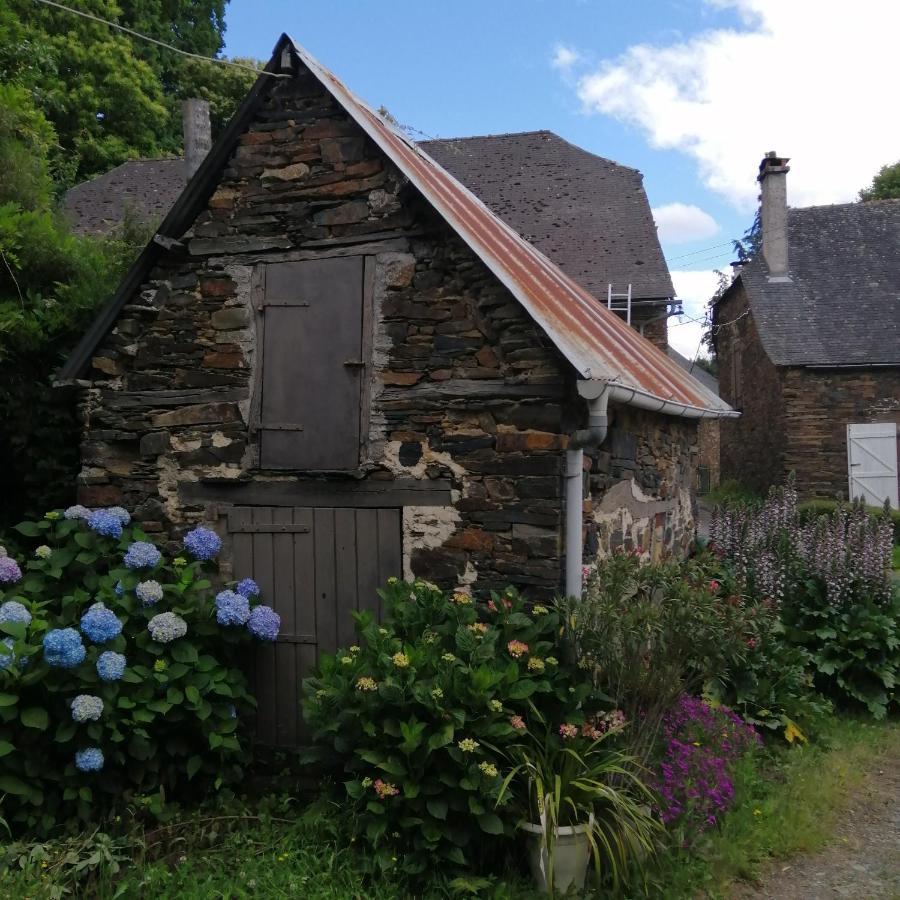 Maison Familiale Coteaux De La Vezere Voutezac 外观 照片